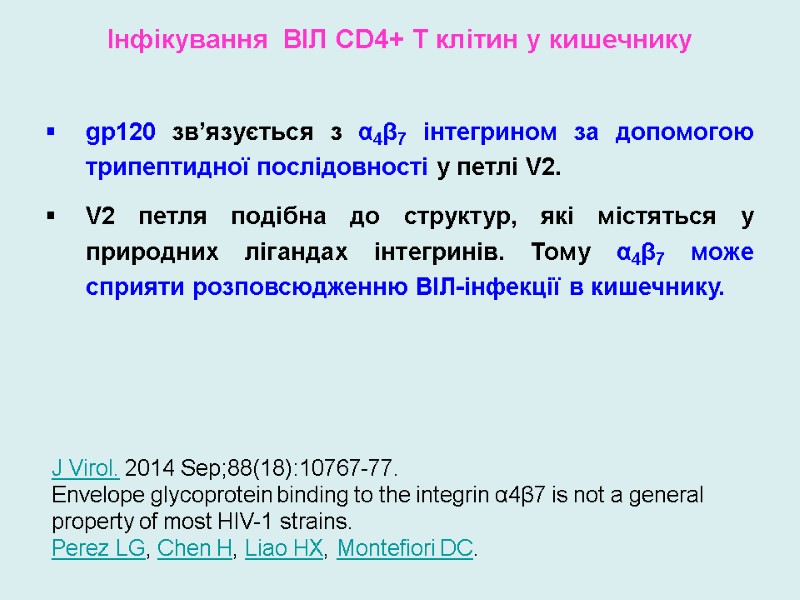 Інфікування  ВІЛ CD4+ T клітин у кишечнику  gp120 зв’язується з α4β7 інтегрином